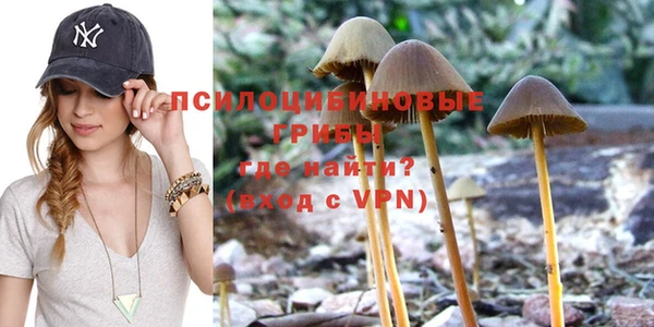 МДПВ Алексеевка