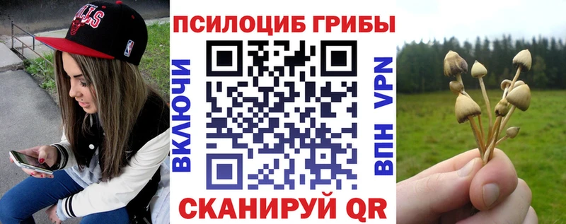 где можно купить   Нефтекамск  Псилоцибиновые грибы GOLDEN TEACHER 