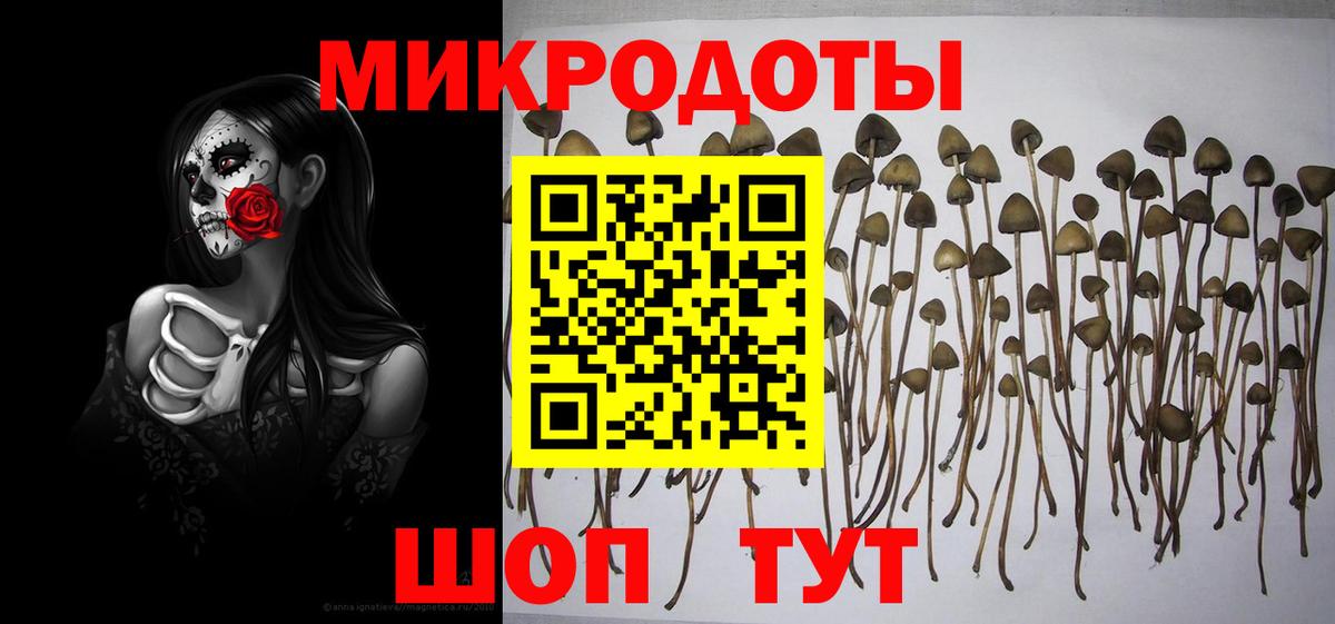 Нефтекамск  Псилоцибиновые грибы прущие грибы  Вход с VPN 